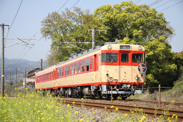 キハ58形・65形 急行形気動車（大分・国鉄色）